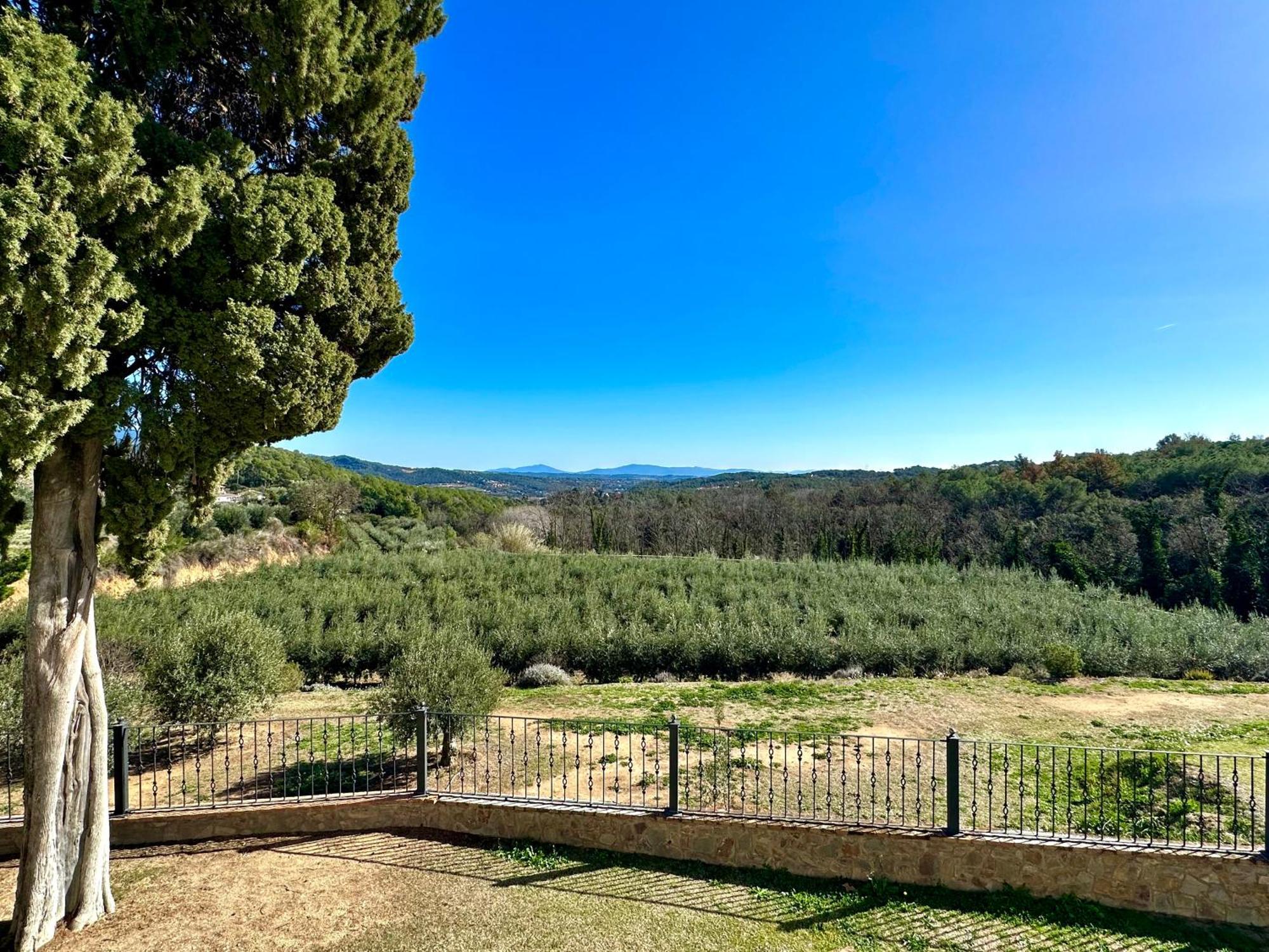 Masia Can Viver - Olive Oil Tourism B&B Bigues I Riells Buitenkant foto