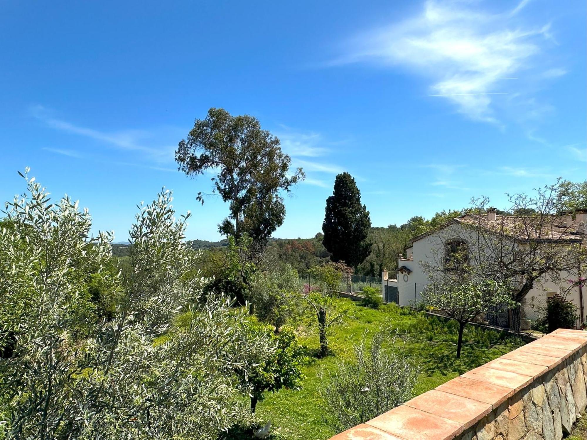 Masia Can Viver - Olive Oil Tourism B&B Bigues I Riells Buitenkant foto